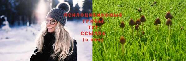 марки nbome Алексеевка