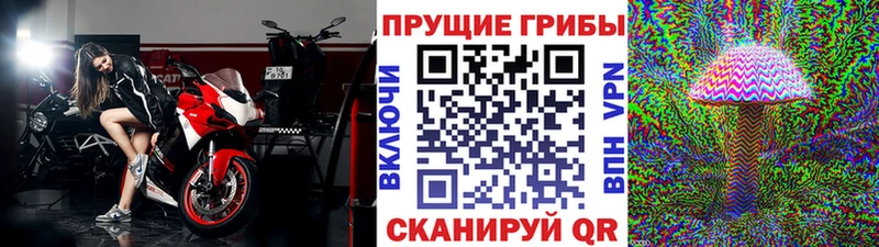наркошоп  Нея  мега как войти  Галлюциногенные грибы Psilocybine cubensis 